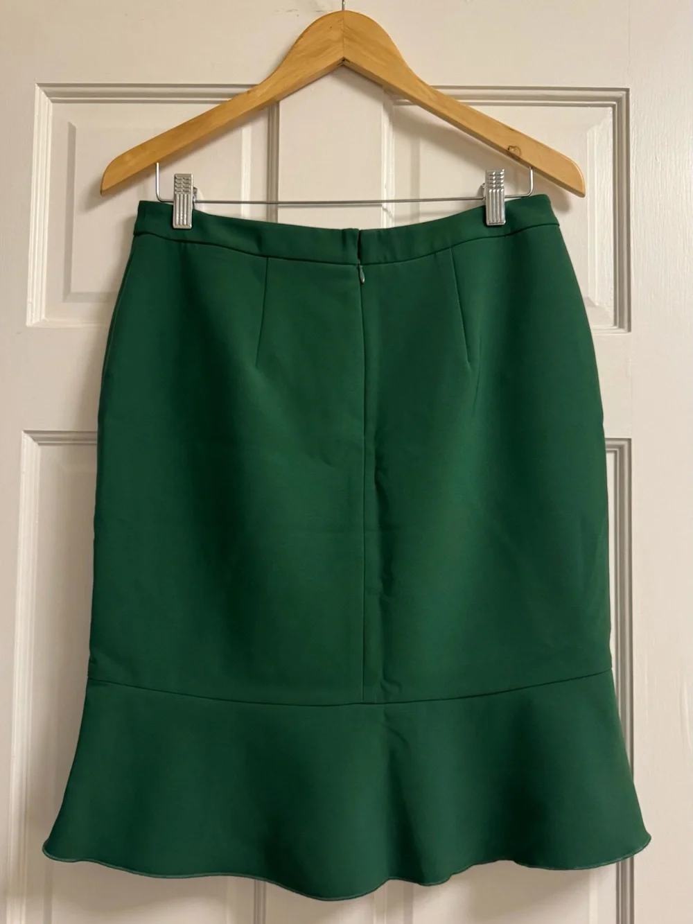NWT Ann Taylor Skirt (8P)
